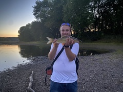 Moxostoma erythrurum