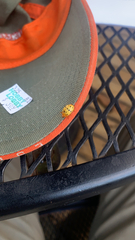 Epilachna varivestis