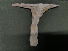 Malleus albus