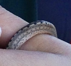 Tropidophis melanurus