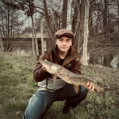 Esox lucius