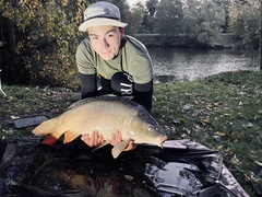 Cyprinus carpio carpio