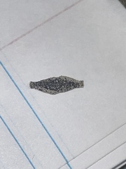 Phereoeca