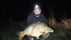 Cyprinus carpio carpio