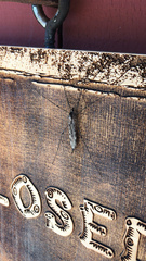 Tipula