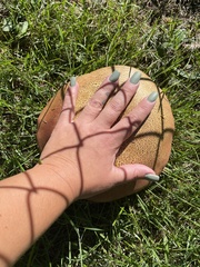 Calvatia