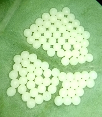 Trichoplusia ni
