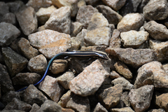 Plestiodon finitimus