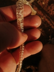 Serpentes