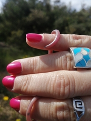 Rhinotyphlops lalandei