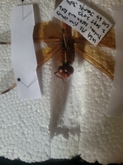 Libellula saturata