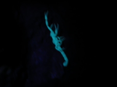 Serradigitus gertschi