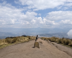 Daptrius carunculatus