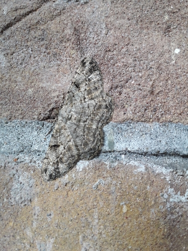 Willow Beauty, 3515 BE Utrecht, Nederland, photo 9 of 10