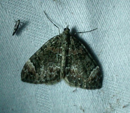 Dark Marbled Carpet photo 5