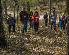 Emydoidea blandingii