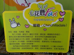 Chinchilla lanigera