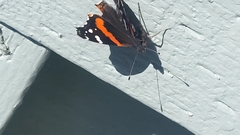 Vanessa atalanta