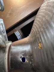 Epicallima argenticinctella