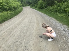 Emydoidea blandingii