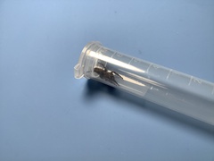 Plexippus paykulli