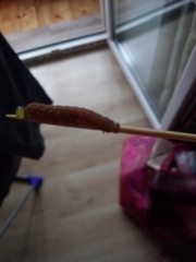 Plodia interpunctella