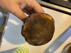 Neoboletus erythropus