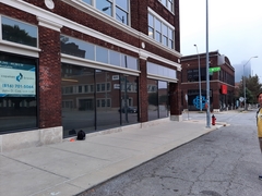 Archilochus colubris