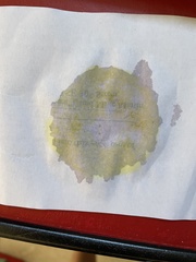 Xanthoconium stramineum