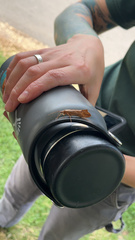 Nemotaulius hostilis