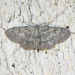 Idaea violacearia