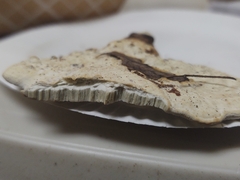 Calcipostia guttulata