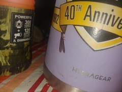 Zootermopsis nevadensis