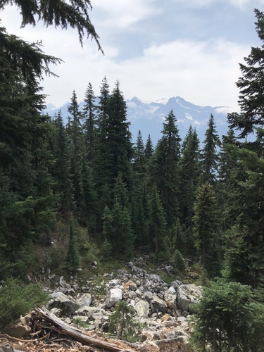 Sourdough Mountain Trail