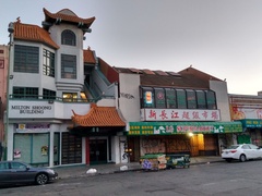 Nycticorax nycticorax