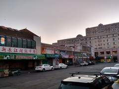 Nycticorax nycticorax