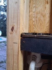 Nerodia fasciata pictiventris