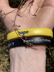 Chenopodium nutans eremaeum