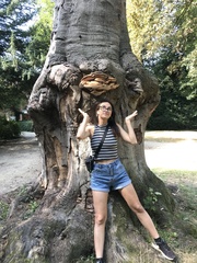 Ganoderma