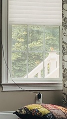 Thryothorus ludovicianus