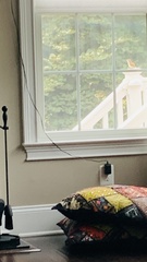 Thryothorus ludovicianus