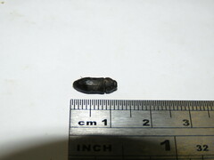 Diphucrania