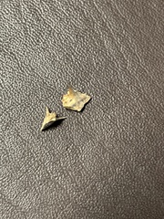 Cenchrus longispinus