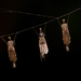 毛蚊型下目 - Photo (c) airgel，保留部份權利CC BY-NC