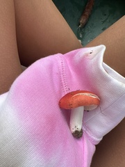 Russula paludosa