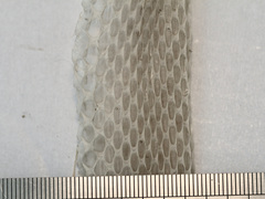 Malpolon monspessulanus