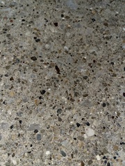Aeolus mellillus