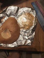 Boletus reticulatus