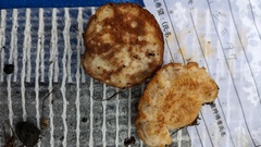 Fuscopostia fragilis