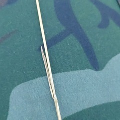 Agrostis capillaris